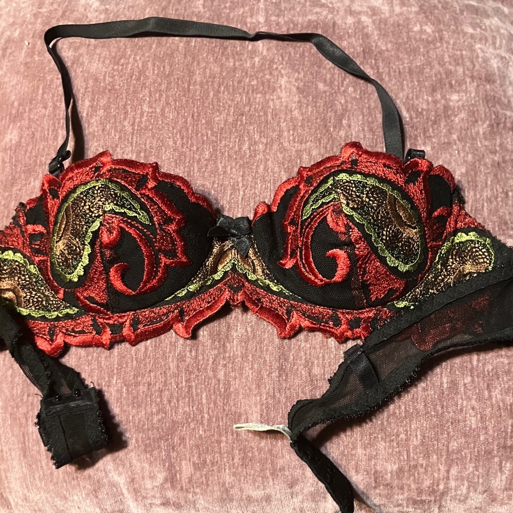 Red & Black Embroidered Underwire Bra